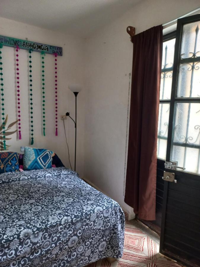Casa Apapacho Hostel San Cristóbal de Las Casas Kültér fotó